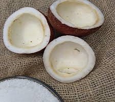 تصویر 5 از قیمت خرید نارگیل خشک کاسه ای + فروش ویژه