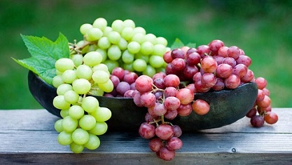 تصویر 4 از فروش انگور تاکستان اهواز + قیمت خرید به صرفه