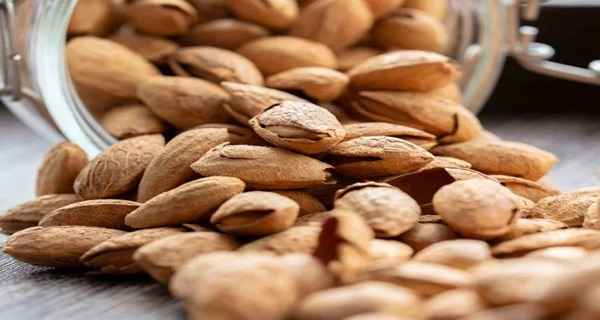 تصویر 4 از قیمت بادام درختی تازه + خرید باور نکردنی