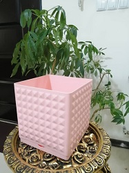 تصویر 5 از قیمت گلدان پلاستیکی مربع + خرید باور نکردنی