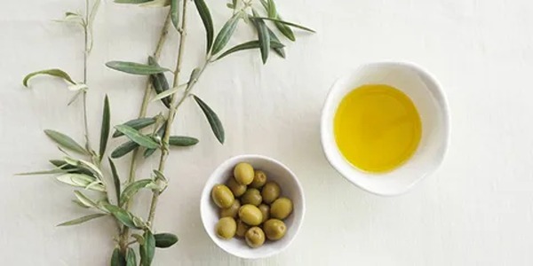 تصویر 3 از خرید و قیمت روغن زیتون رودبار + فروش صادراتی