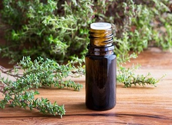 تصویر 3 از قیمت خرید اسانس آویشن باغی + فروش ویژه