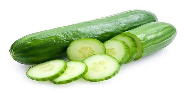 تصویر 1 از خرید و قیمت خیار سبز درختی + فروش عمده