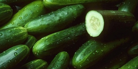 تصویر 4 از خرید و قیمت خیار سبز درختی + فروش عمده