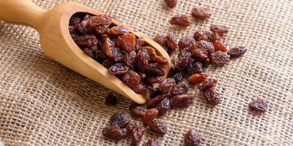 تصویر 5 از خرید و قیمت کشمش افتابی ملایر + فروش صادراتی