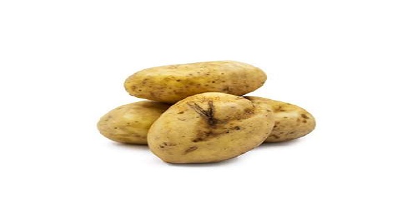 تصویر 3 از قیمت سیب زمینی شیرین مشهد + خرید باور نکردنی