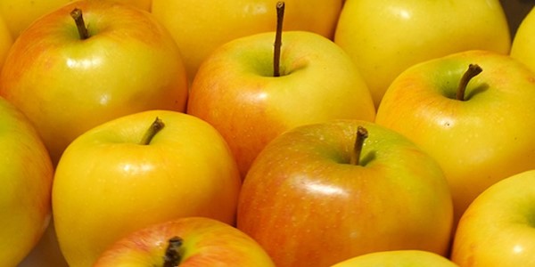 تصویر 1 از خرید سیب زرد خالدار + قیمت فروش استثنایی