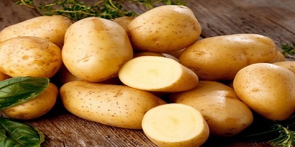 تصویر 4 از خرید سیب زمینی اصفهان + قیمت فروش استثنایی