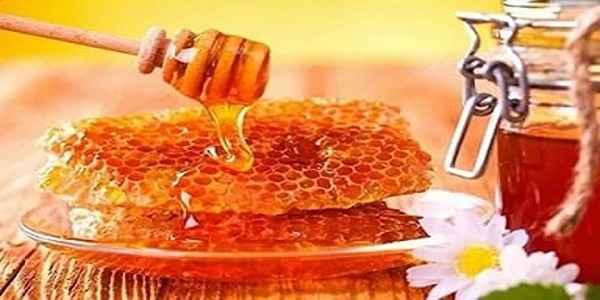 تصویر 4 از قیمت عسل موم دار اردبیل + خرید باور نکردنی