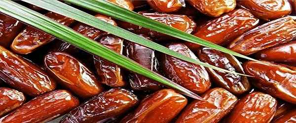 تصویر 2 از خرید و قیمت خرما پیارم درجه یک + فروش عمده