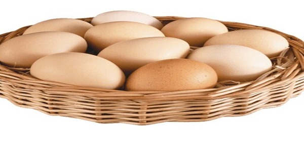 تصویر 4 از قیمت تخم مرغ دو زرده + خرید باور نکردنی