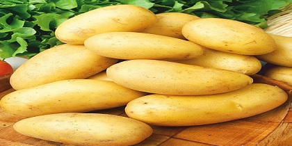 تصویر 2 از قیمت سیب زمینی جنگلی با کیفیت ارزان + خرید عمده