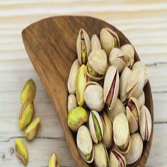 خرید و فروش پسته جنگلی مشهد با شرایط فوق العاده