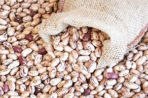 تصویر 3 از قیمت خرید لوبیا چیتی تازه + فروش ویژه