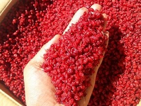 تصویر 5 از قیمت خرید زرشک پفکی اعلا + فروش ویژه