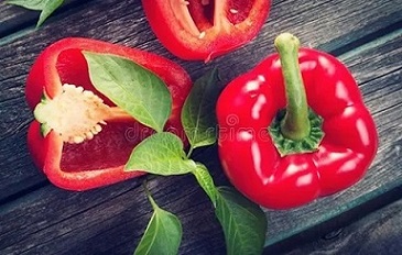 تصویر 1 از خرید و قیمت فلفل دلمه ای ارگانیک + فروش عمده