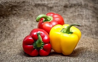تصویر 2 از خرید و قیمت فلفل دلمه ای ارگانیک + فروش عمده