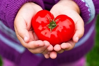 تصویر 5 از قیمت رب گوجه خانگی اصفهان  با کیفیت ارزان + خرید عمده
