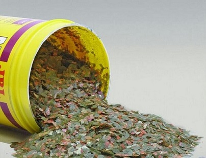 تصویر 3 از قیمت خرید خوراک ماهی زینتی + فروش ویژه