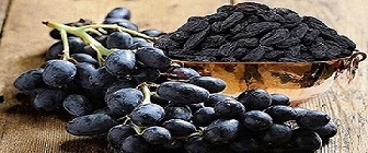 تصویر 2 از قیمت انگور سیاه یاقوتی شیراز  + خرید باور نکردنی