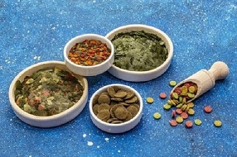 تصویر 1 از راهنمای خرید خوراک ماهی آکواریومی + قیمت عالی