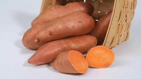 تصویر 5 از قیمت خرید سیب زمینی شیرین + فروش ویژه