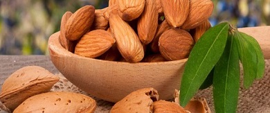 تصویر 3 از قیمت خرید بادام درختی خام ایرانی با فروش عمده