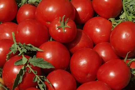 تصویر 3 از فروش دیوار پوش پی وی سی  + قیمت خرید به صرفه