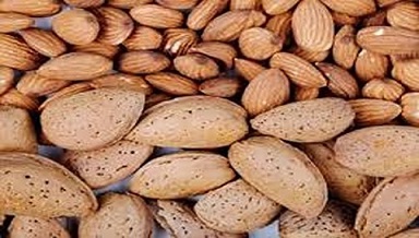 تصویر 4 از خرید بادام مامایی شور + قیمت فروش استثنایی