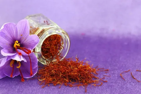 تصویر 3 از قیمت خرید زعفران سحرخیز مشهد با فروش عمده