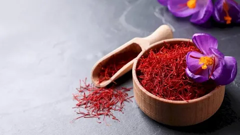 تصویر 2 از قیمت خرید زعفران سحرخیز مشهد با فروش عمده