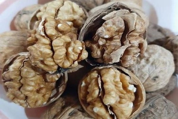 تصویر 4 از خرید و قیمت گردو پوست کاغذی ایرانی + فروش عمده