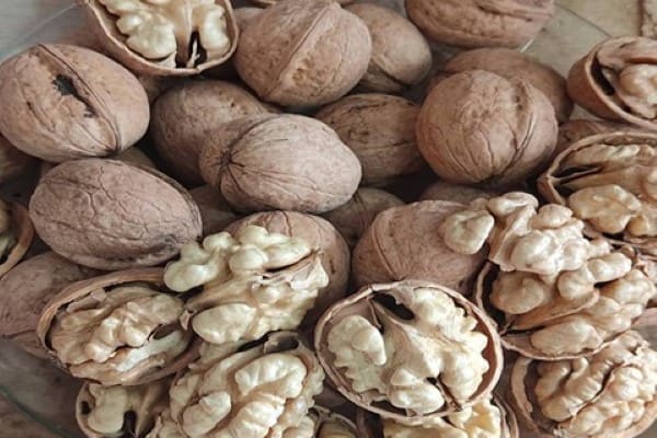 تصویر 3 از خرید و قیمت گردو پوست کاغذی ایرانی + فروش عمده
