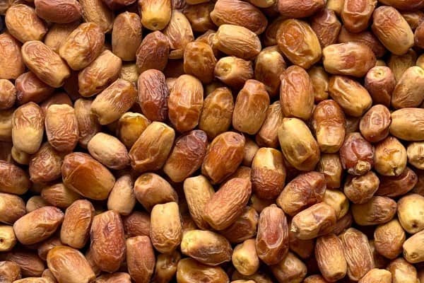 تصویر 3 از خرید خرما زاهدی ایرانی + قیمت فروش استثنایی