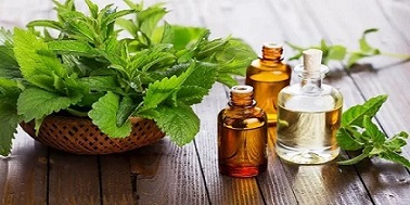 تصویر 3 از خرید اسانس آویشن شیرازی + قیمت فروش استثنایی
