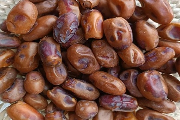 تصویر 3 از خرید و قیمت خرما استعمران درجه یک + فروش عمده