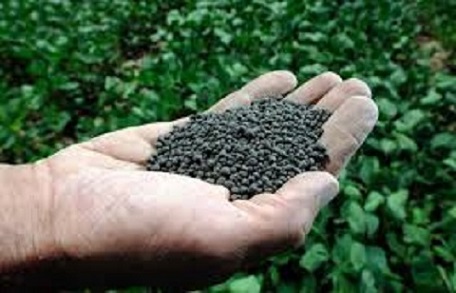 تصویر 1 از فروش کود نانوکلات خضرا  + قیمت خرید به صرفه