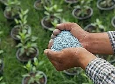 تصویر 3 از فروش کود نانوکلات خضرا  + قیمت خرید به صرفه