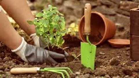 تصویر 7 از فروش بیلچه باغبانی پلاستیکی  + قیمت خرید به صرفه