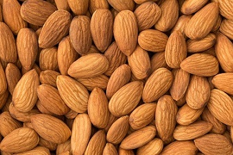تصویر 5 از قیمت خرید بادام مامایی صادراتی + فروش ویژه