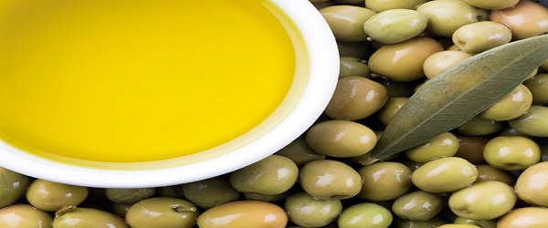 تصویر 1 از خرید و قیمت روغن زیتون صادراتی شمال + فروش عمده