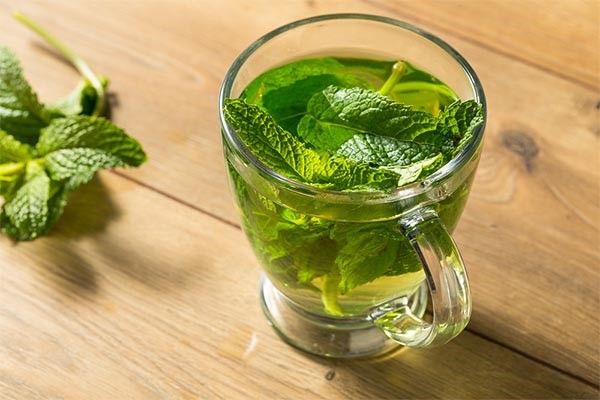 تصویر 2 از قیمت خرید عرق گیاهی نعناع + فروش ویژه