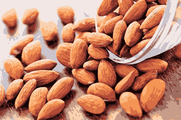 تصویر 1 از خرید و قیمت بادام مامایی درجه یک + فروش صادراتی