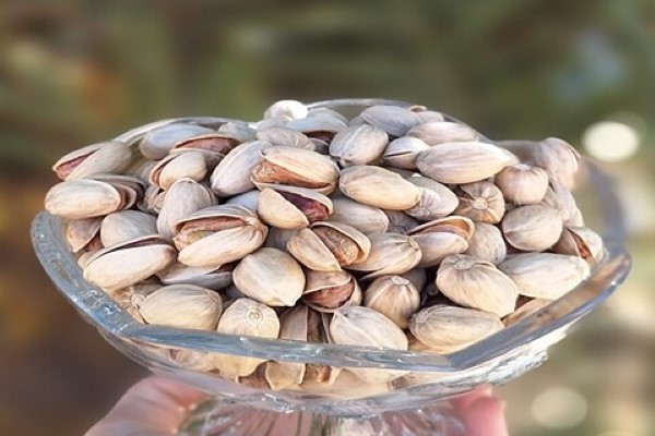 تصویر 5 از قیمت و خرید پسته کله قوچی رفسنجان + فروش ارزان