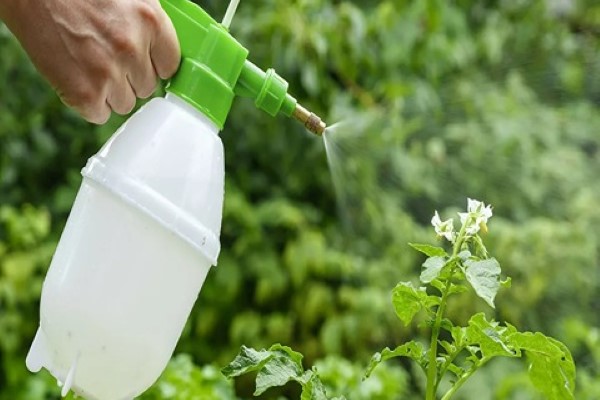 تصویر 1 از قیمت و خرید کود مایع ارگانیک زرگرین + فروش ارزان