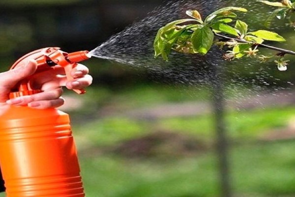 تصویر 3 از قیمت و خرید کود مایع ارگانیک زرگرین + فروش ارزان
