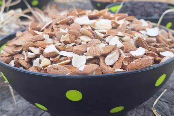 تصویر 3 از خرید و قیمت بادام شکسته مامایی + فروش عمده