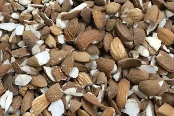 تصویر 4 از خرید و قیمت بادام شکسته مامایی + فروش عمده
