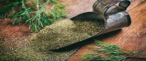 تصویر 1 از خرید و قیمت آویشن خشک صادراتی + فروش عمده