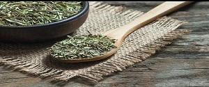 تصویر 2 از خرید و قیمت آویشن خشک صادراتی + فروش عمده